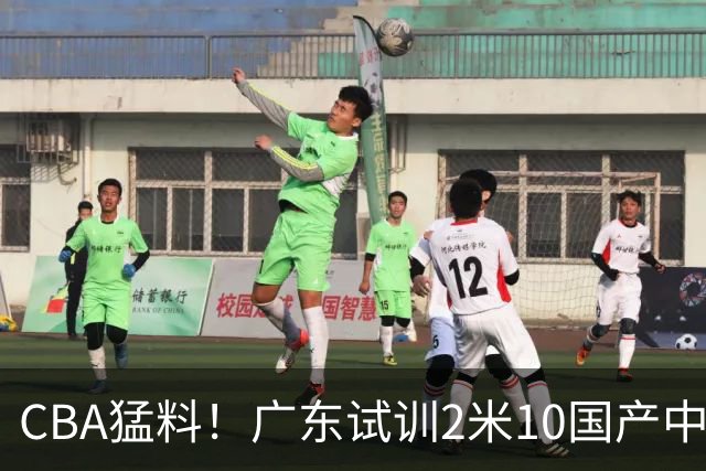 CBA猛料！广东试训2米10国产中锋，张镇麟签约新代言，同曦四川股权被冻结